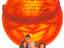 One Crazy Summer